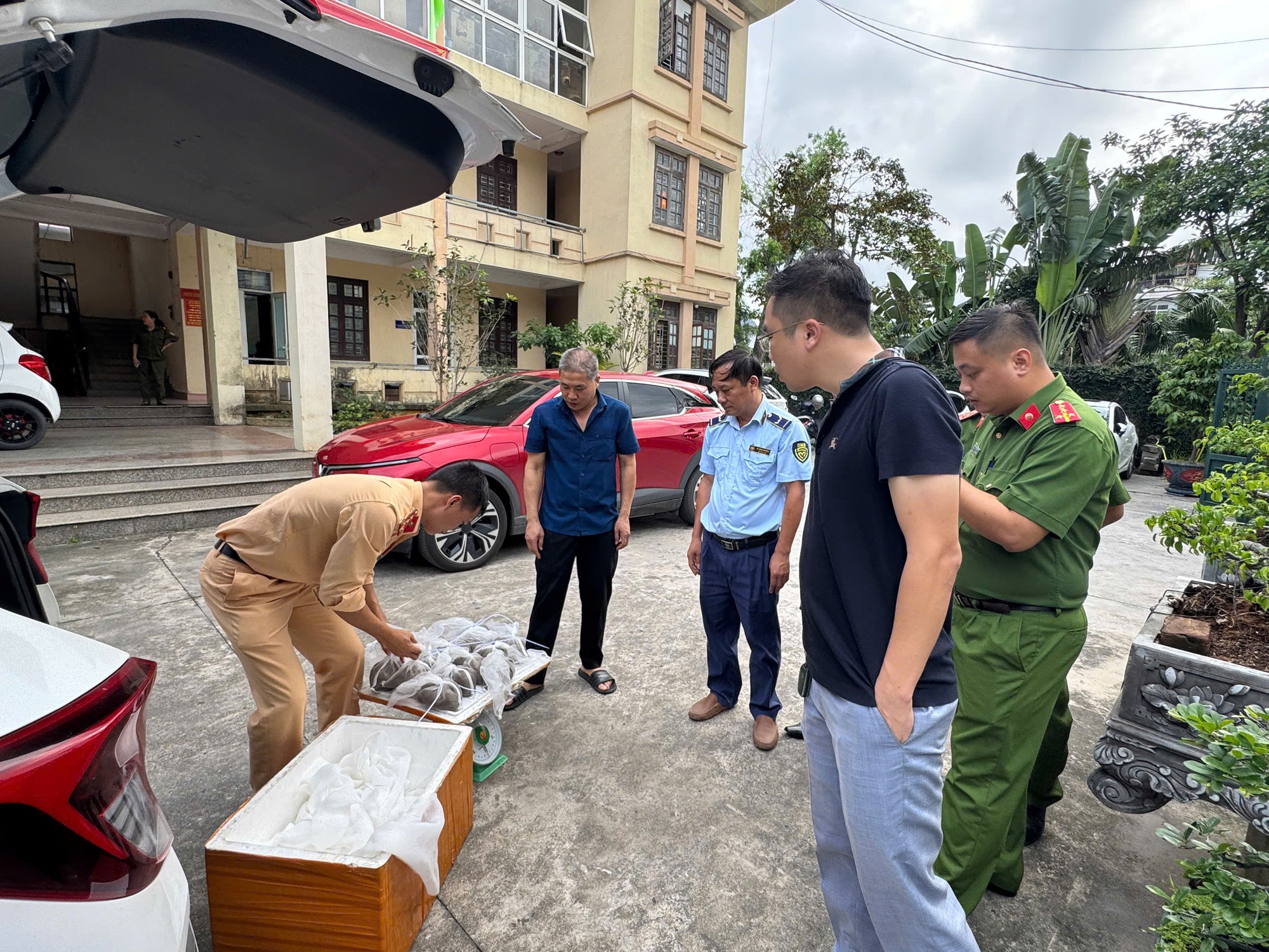 Nóng tại Quảng Ninh: Phát hiện một hộ kinh doanh có hơn 2.000 kg thực phẩm không rõ nguồn gốc, hộ khác có 5,6 triệu con ngao hoa giống không rõ xuất xứ- Ảnh 1. Nóng tại Quảng Ninh: Phát hiện một hộ kinh doanh có hơn 2.000 kg thực phẩm không rõ nguồn gốc, hộ khác có 5,6 triệu con ngao hoa giống không rõ xuất xứ- Ảnh 1.