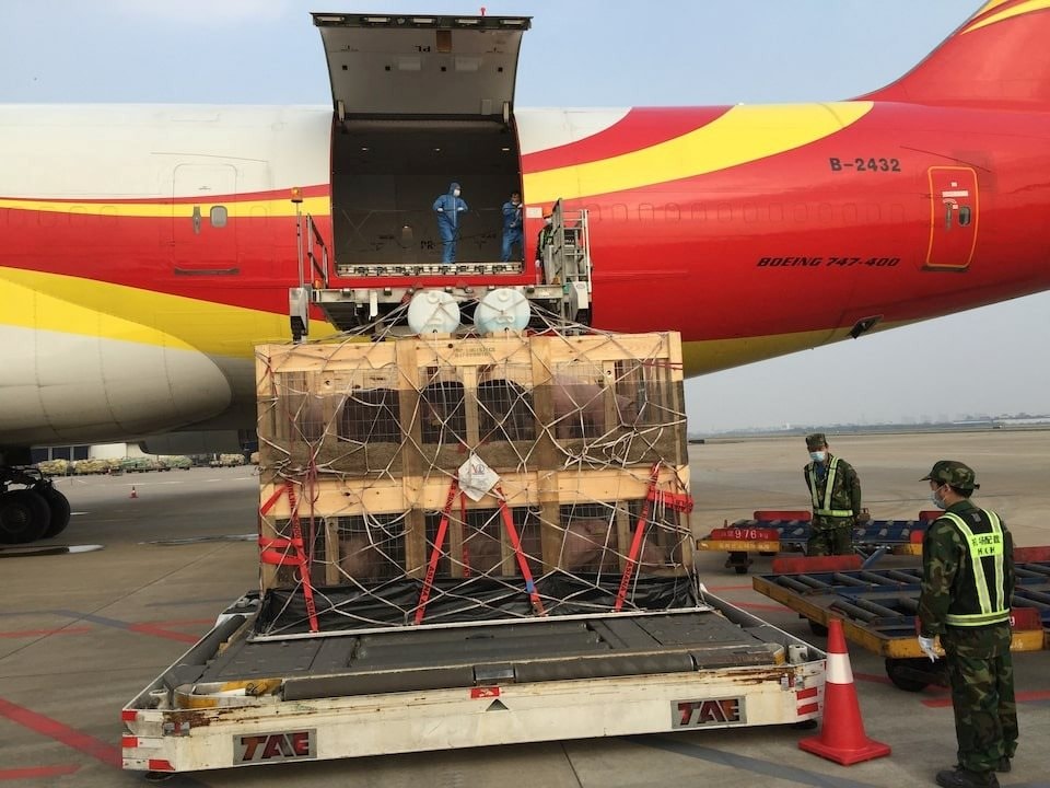 Một ngành kinh doanh tỷ USD của Mỹ nếm ‘trái đắng’ thương chiến: Xuất khẩu sang Trung Quốc ‘đóng băng’, đơn hàng bị hủy hàng loạt, nguy cơ mất thị phần vào tay đối thủ- Ảnh 1. Một ngành kinh doanh tỷ USD của Mỹ nếm ‘trái đắng’ thương chiến: Xuất khẩu sang Trung Quốc ‘đóng băng’, đơn hàng bị hủy hàng loạt, nguy cơ mất thị phần vào tay đối thủ- Ảnh 1.