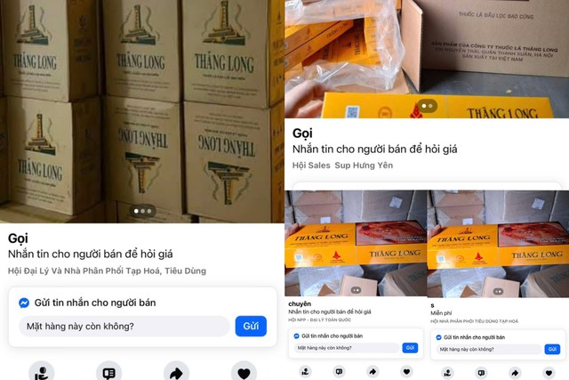 Bắt tạm giam Giám đốc Trần Văn Trường và chị gái- Ảnh 2. Bắt tạm giam Giám đốc Trần Văn Trường và chị gái- Ảnh 2.