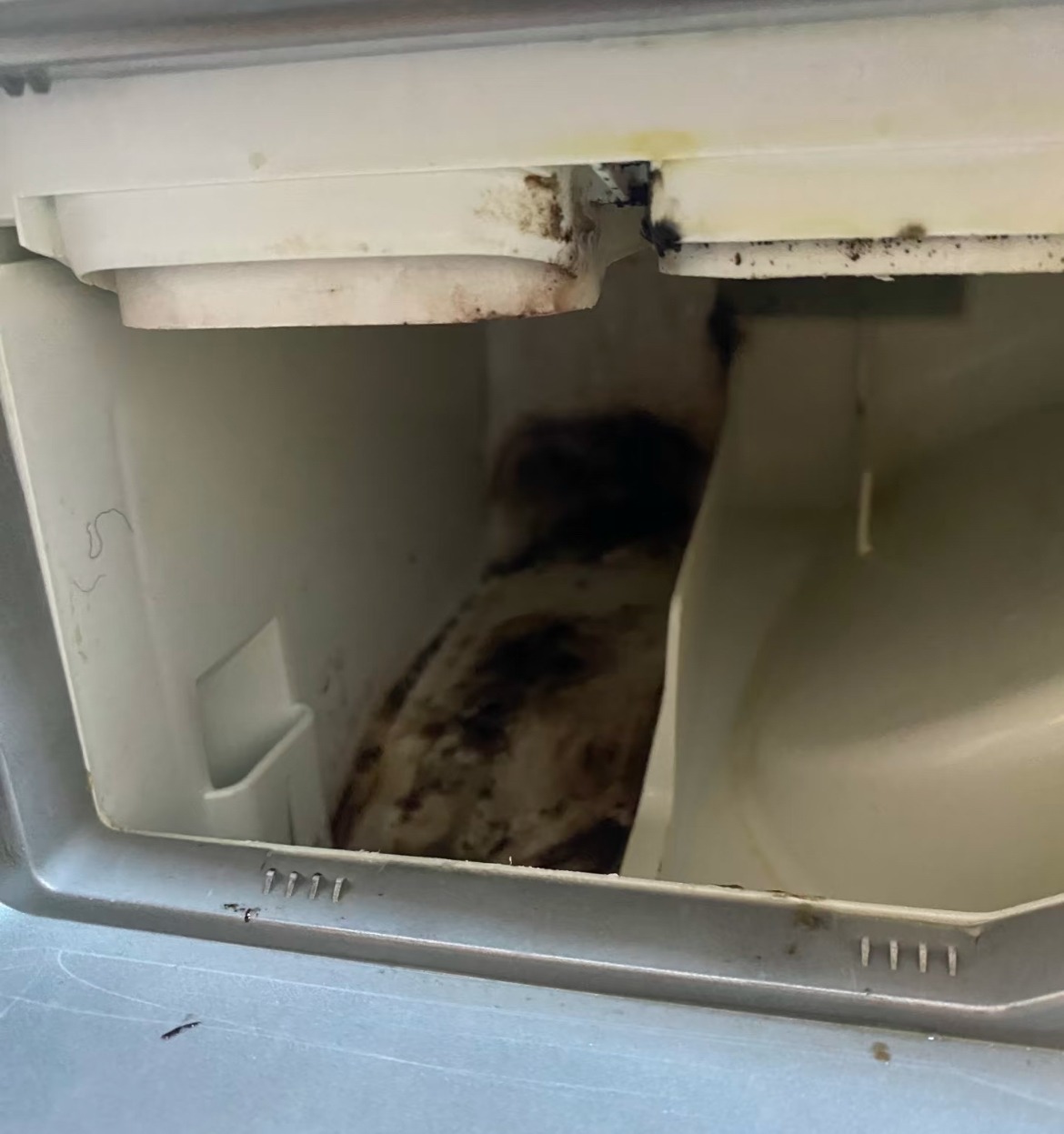 Lười mấy cũng phải dọn sạch 10 nơi này kẻo bệnh tật tìm đến, số 9 hầu như người Việt quên béng!- Ảnh 8.