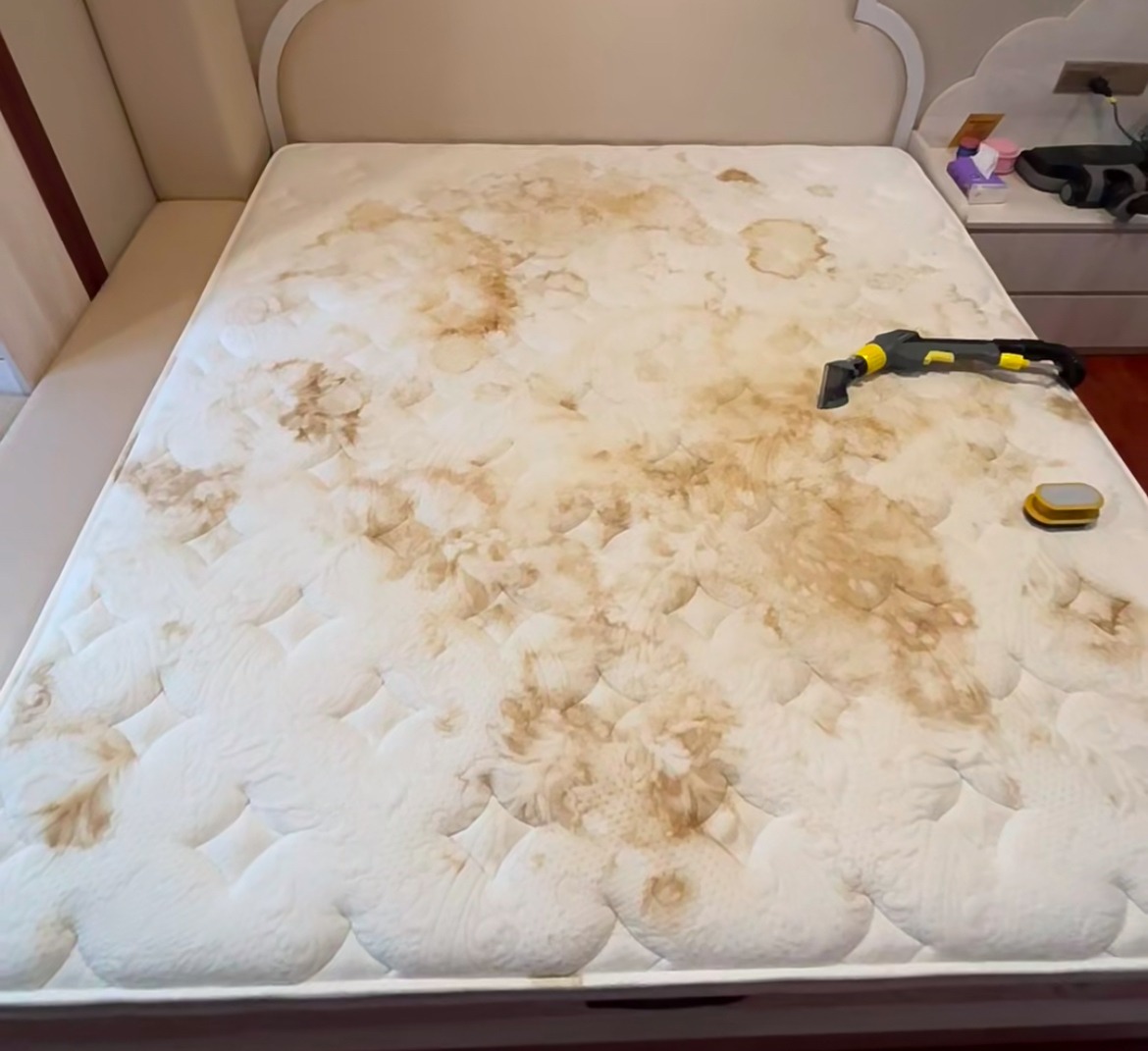 Lười mấy cũng phải dọn sạch 10 nơi này kẻo bệnh tật tìm đến, số 9 hầu như người Việt quên béng!- Ảnh 11.