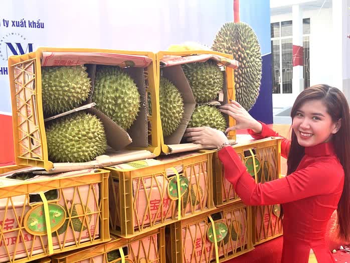 Thêm cơ hội cho sầu riêng Việt tại Trung Quốc- Ảnh 1. Thêm cơ hội cho sầu riêng Việt tại Trung Quốc- Ảnh 1.