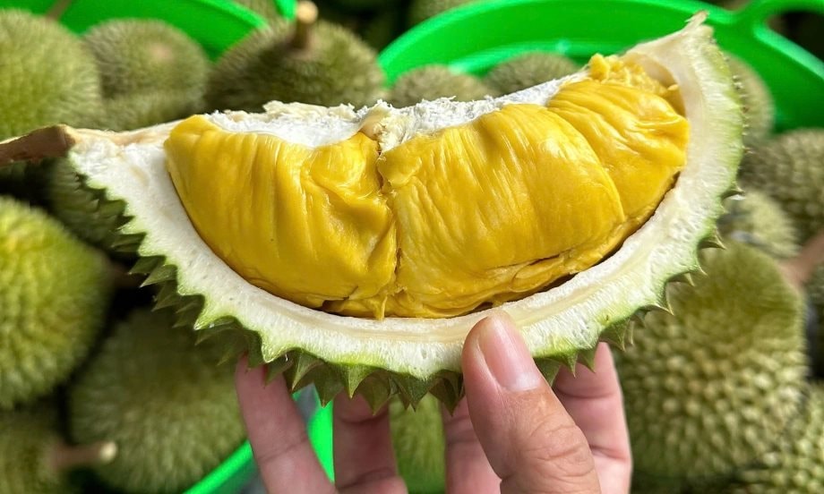 Thủ tướng chỉ đạo nóng về mặt hàng giúp VN thu 3 tỷ USD: Bộ Công an và loạt cơ quan, địa phương vào cuộc- Ảnh 3. Thủ tướng chỉ đạo nóng về mặt hàng giúp VN thu 3 tỷ USD: Bộ Công an và loạt cơ quan, địa phương vào cuộc- Ảnh 3.