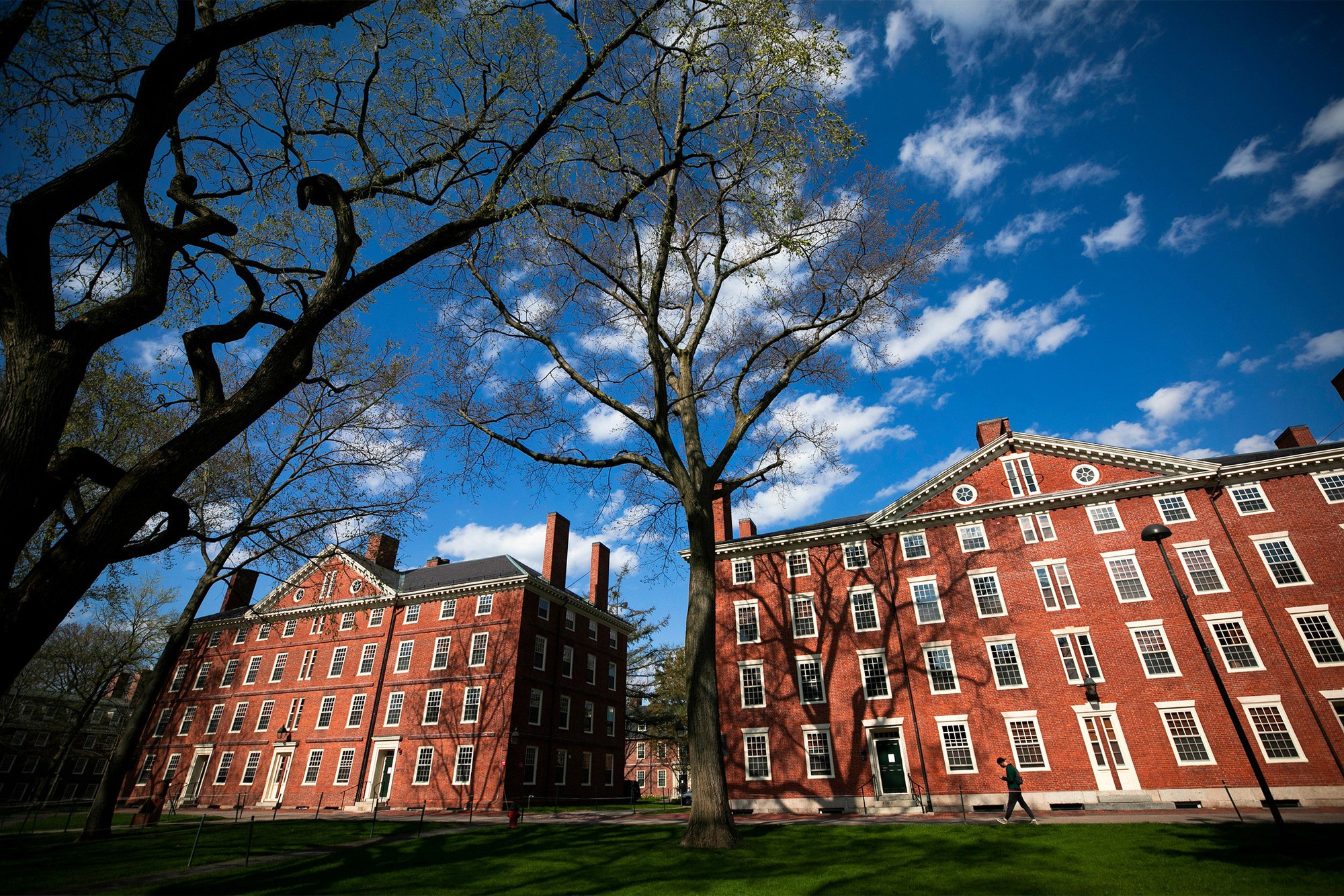 Lo lắng, hồi hộp và run sợ: Sinh viên quốc tế tại Harvard đang hoang mang vì khả năng lâm vào cảnh "đứt gánh giữa đường""- Ảnh 2. Lo lắng, hồi hộp và run sợ: Sinh viên quốc tế tại Harvard đang hoang mang vì khả năng lâm vào cảnh "đứt gánh giữa đường""- Ảnh 2.