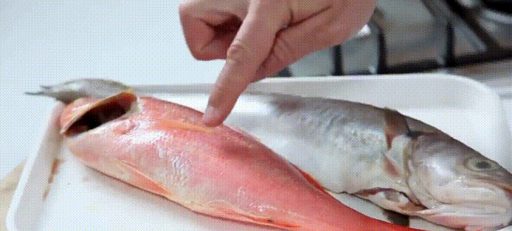 Đi chợ thấy cá có 5 dấu hiệu này thì Đi chợ thấy cá có 5 dấu hiệu này thì