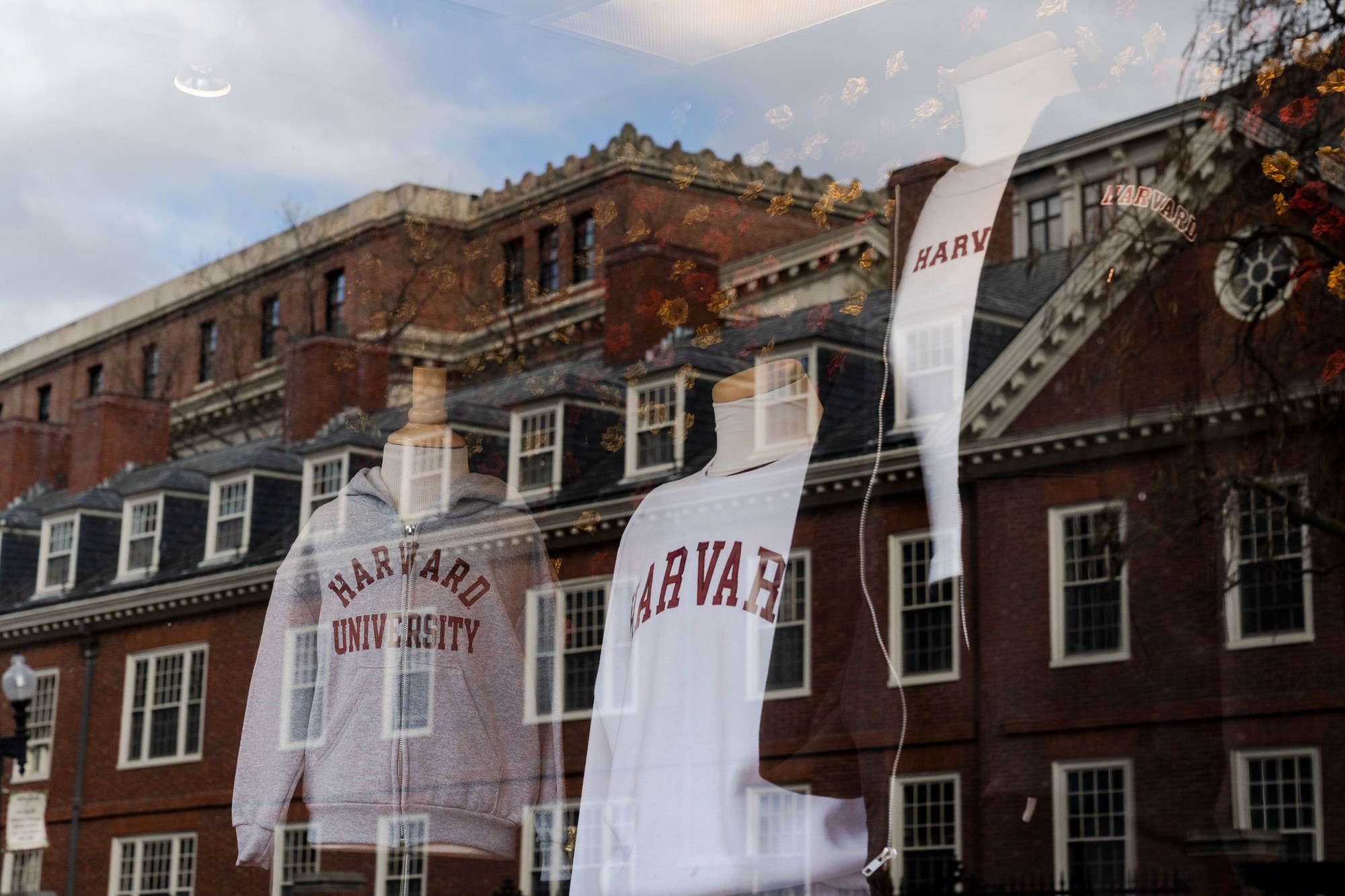 Lo lắng, hồi hộp và run sợ: Sinh viên quốc tế tại Harvard đang hoang mang vì khả năng lâm vào cảnh "đứt gánh giữa đường""- Ảnh 1. Lo lắng, hồi hộp và run sợ: Sinh viên quốc tế tại Harvard đang hoang mang vì khả năng lâm vào cảnh "đứt gánh giữa đường""- Ảnh 1.