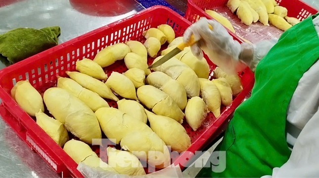 Báo động sầu riêng; bức xúc cả chợ Ninh Hiệp bán hàng giả- Ảnh 5. Báo động sầu riêng; bức xúc cả chợ Ninh Hiệp bán hàng giả- Ảnh 5.