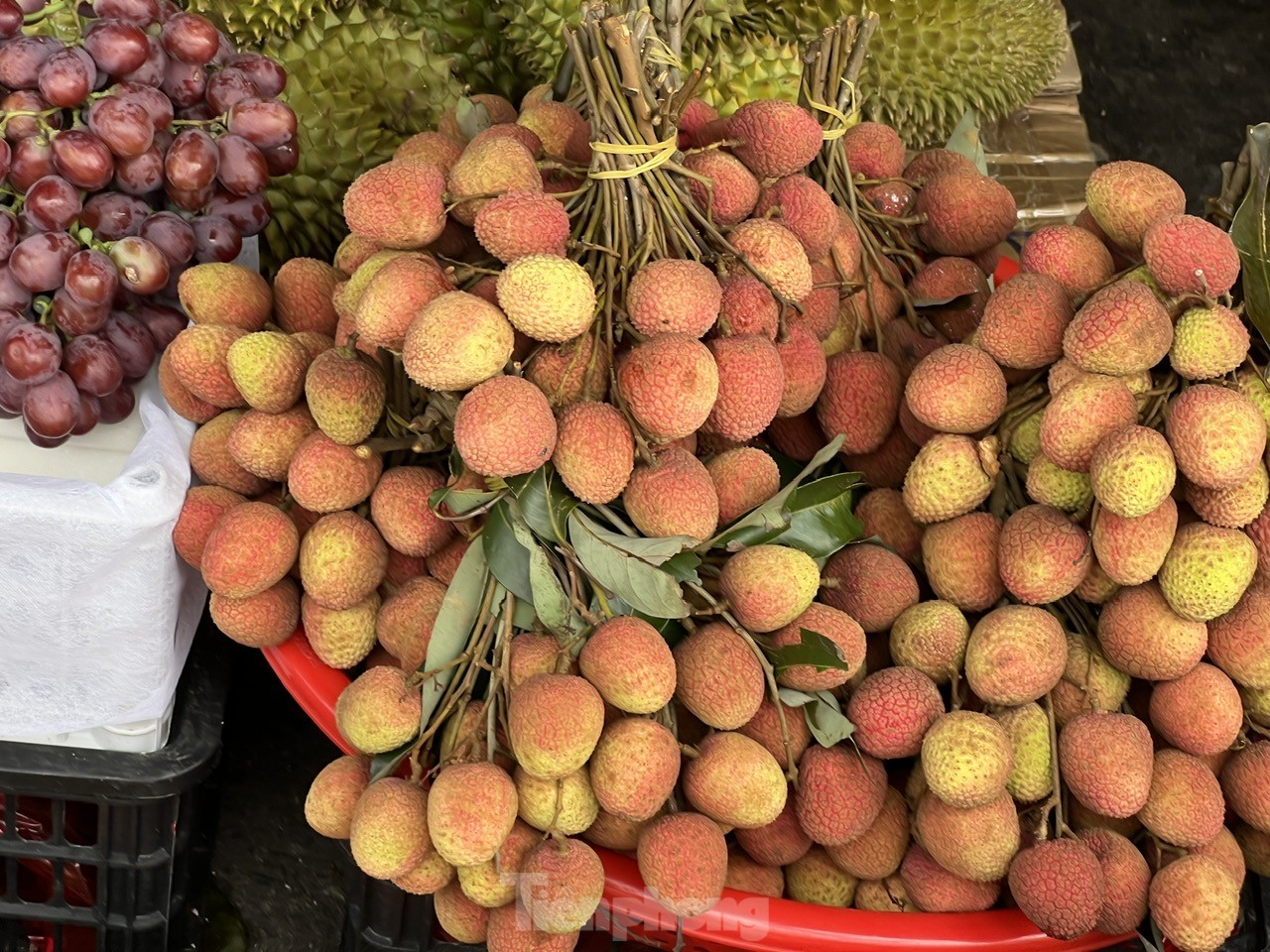 Vải thiều vào vụ, giá rẻ bất ngờ- Ảnh 9. Vải thiều vào vụ, giá rẻ bất ngờ- Ảnh 9.