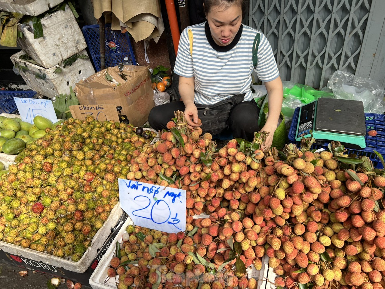 Vải thiều vào vụ, giá rẻ bất ngờ- Ảnh 1. Vải thiều vào vụ, giá rẻ bất ngờ- Ảnh 1.