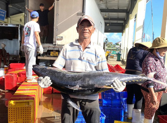 Mặt hàng của Việt Nam được hơn 75 quốc gia lùng mua: Nga tăng cường thu gom- Ảnh 2.