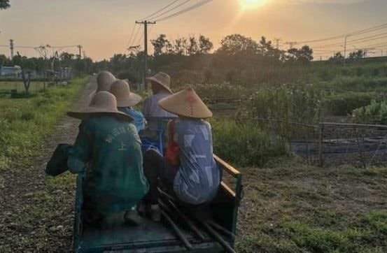 Cử nhân Trung Quốc về quê nuôi lợn, từ bỏ cuộc sống thành thị áp lực: ‘Tôi muốn làm hài lòng bản thân, muốn thử những điều mới mẻ’- Ảnh 2. Cử nhân Trung Quốc về quê nuôi lợn, từ bỏ cuộc sống thành thị áp lực: ‘Tôi muốn làm hài lòng bản thân, muốn thử những điều mới mẻ’- Ảnh 2.