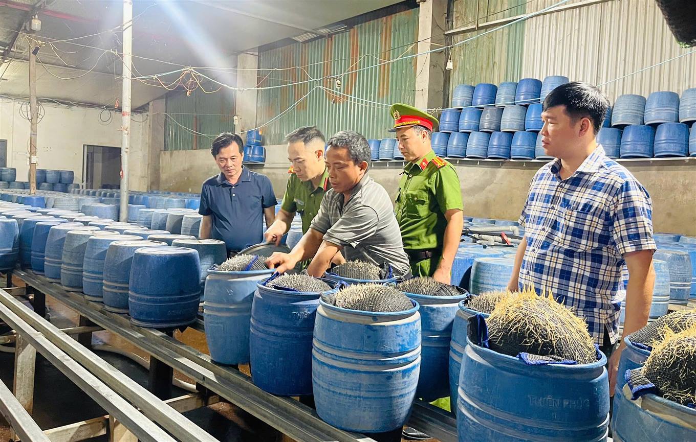 Cận cảnh cơ sở dùng hóa chất độc hại để sản xuất gần 350 tấn giá đỗ bán cho người dân- Ảnh 2. Cận cảnh cơ sở dùng hóa chất độc hại để sản xuất gần 350 tấn giá đỗ bán cho người dân- Ảnh 2.
