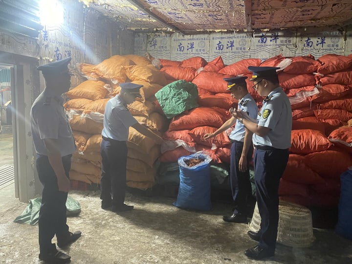 Phát hiện gần 8 tấn chân gà 'bẩn' đang chờ tiêu thụ tại Quảng Ninh- Ảnh 1. Phát hiện gần 8 tấn chân gà 'bẩn' đang chờ tiêu thụ tại Quảng Ninh- Ảnh 1.