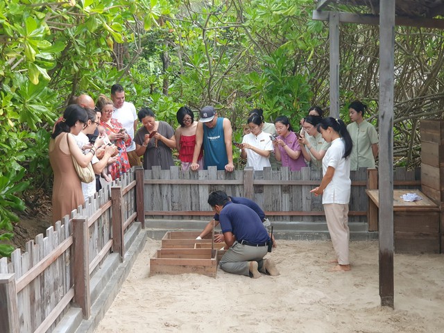 Đến Côn Đảo rất thú vị Đến Côn Đảo rất thú vị