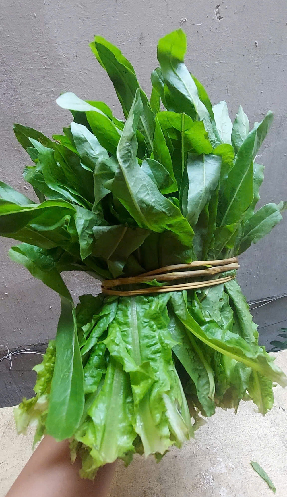 Loại rau 