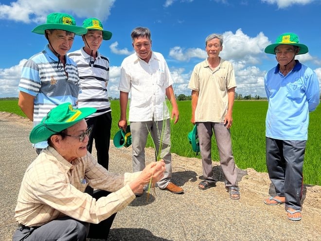 DN phân bón khuyên người dân bón ít phân hơn và một con đường để tiếp cận thị trường 12.000 tỷ USD- Ảnh 1.