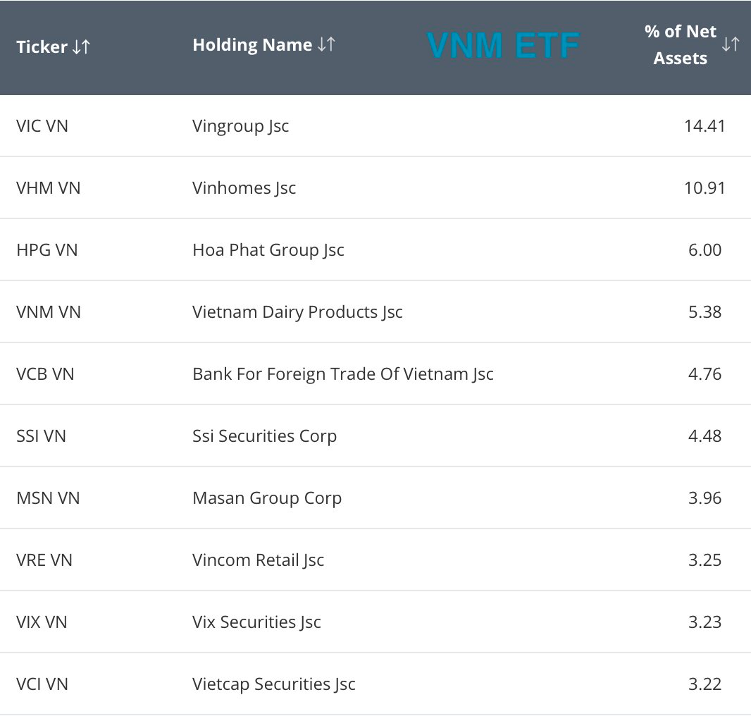 Bộ đôi quỹ ngoại quy mô 700 triệu USD thắng lớn nhờ nhóm cổ phiếu Vingroup, vì sao vẫn bị rút vốn?- Ảnh 3. Bộ đôi quỹ ngoại quy mô 700 triệu USD thắng lớn nhờ nhóm cổ phiếu Vingroup, vì sao vẫn bị rút vốn?- Ảnh 3.