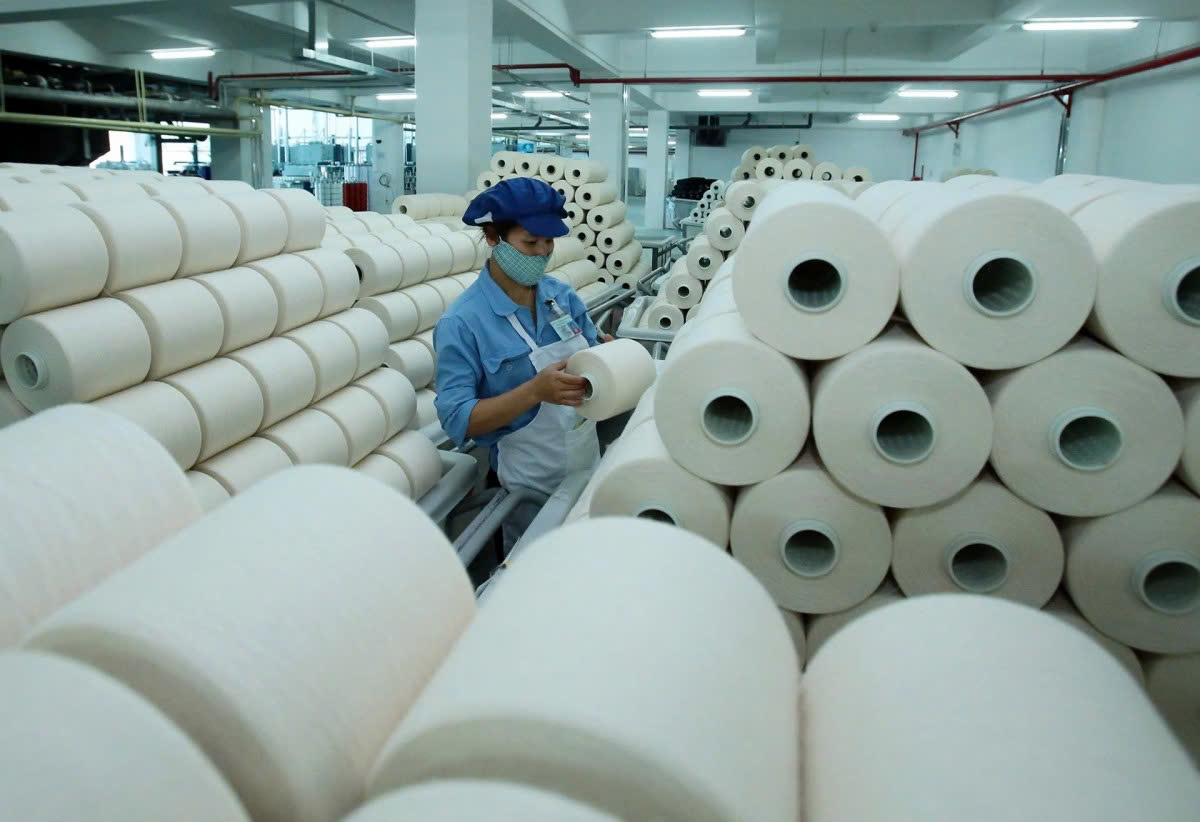 Lãnh đạo Sợi Thế Kỷ muốn ‘gom’ 7 triệu cổ phiếu STK- Ảnh 1. Lãnh đạo Sợi Thế Kỷ muốn ‘gom’ 7 triệu cổ phiếu STK- Ảnh 1.