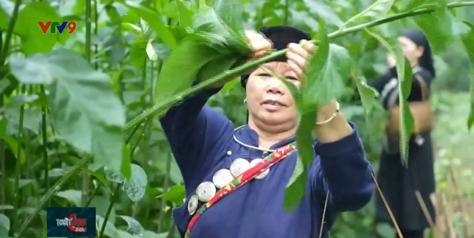 Ngôi làng kỳ lạ nhất miền Bắc: 200 người Ngôi làng kỳ lạ nhất miền Bắc: 200 người