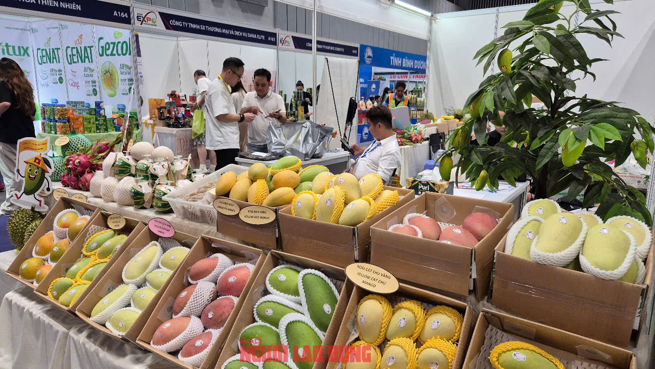 Xoài Trung Quốc tràn ngập chợ- Ảnh 2. Xoài Trung Quốc tràn ngập chợ- Ảnh 2.