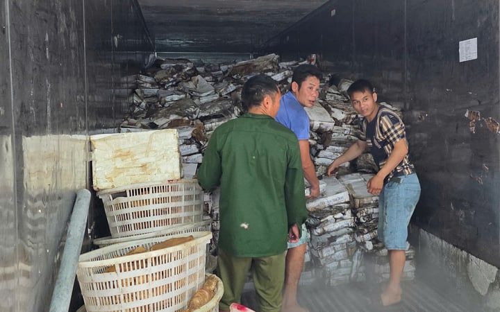 Phát hiện 25 tấn mực bốc mùi tại một kho hàng ở Quảng Ninh- Ảnh 1. Phát hiện 25 tấn mực bốc mùi tại một kho hàng ở Quảng Ninh- Ảnh 1.