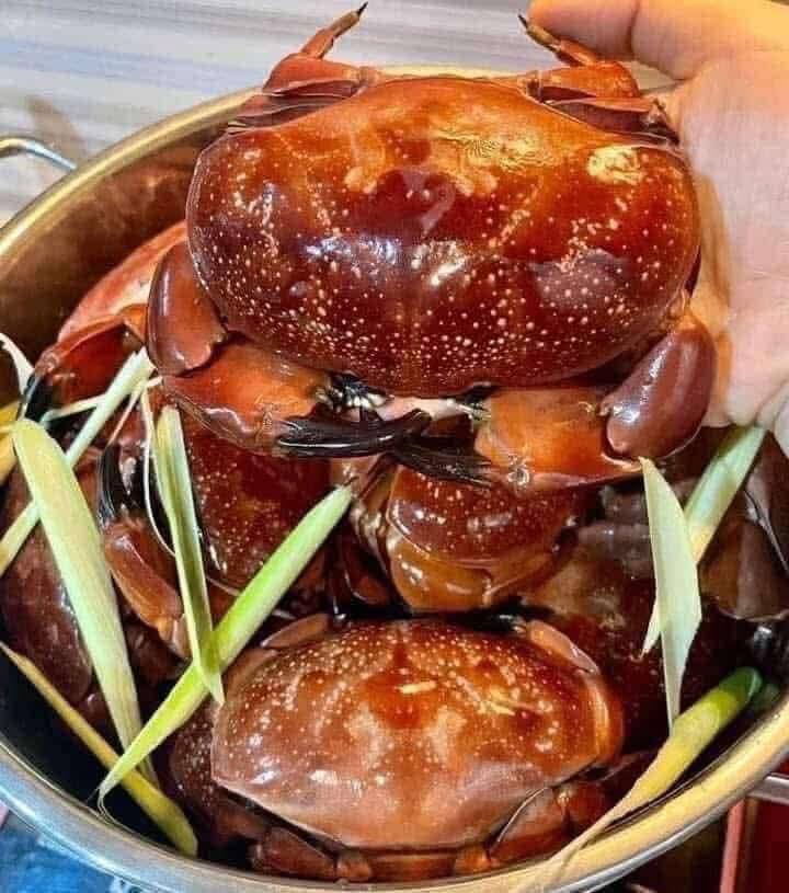 Có những người vượt hàng trăm cây số đến Quảng Ninh chỉ để ăn 3 món đặc sản này: Nhiều nơi khác cũng có nhưng không đâu ngon bằng!- Ảnh 1. Có những người vượt hàng trăm cây số đến Quảng Ninh chỉ để ăn 3 món đặc sản này: Nhiều nơi khác cũng có nhưng không đâu ngon bằng!- Ảnh 1.