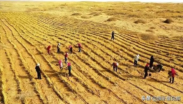 Vượt nhiều "ông lớn", Trung Quốc vô tình giải quyết bài toán khó nhằn của thế giới nhờ thí nghiệm táo bạo- Ảnh 5. Vượt nhiều "ông lớn", Trung Quốc vô tình giải quyết bài toán khó nhằn của thế giới nhờ thí nghiệm táo bạo- Ảnh 5.