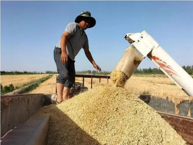 Vượt nhiều "ông lớn", Trung Quốc vô tình giải quyết bài toán khó nhằn của thế giới nhờ thí nghiệm táo bạo- Ảnh 7. Vượt nhiều "ông lớn", Trung Quốc vô tình giải quyết bài toán khó nhằn của thế giới nhờ thí nghiệm táo bạo- Ảnh 7.