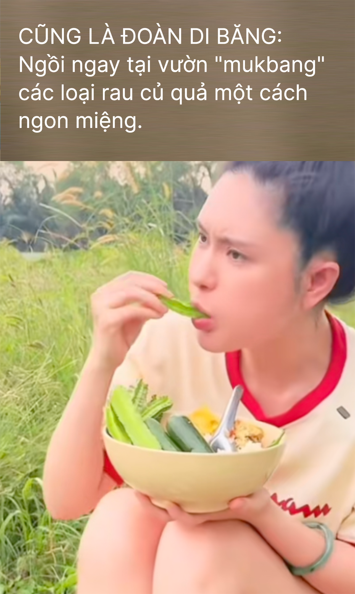 Loạt bằng chứng chống lại Đoàn Di Băng- Ảnh 2. Loạt bằng chứng chống lại Đoàn Di Băng- Ảnh 2.