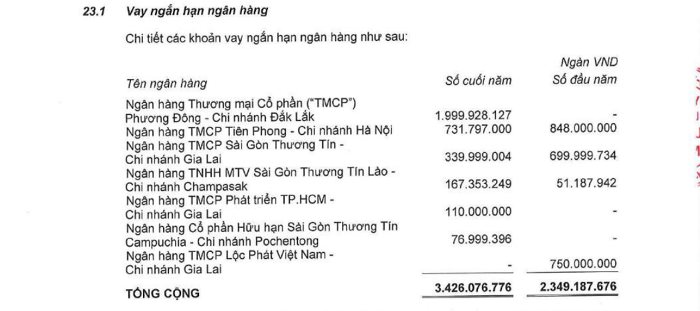 Ngoài nhóm Thaigroup và LPBS, bầu Đức đưa vào HĐQT Hoàng Anh Gia Lai một gương mặt mới đáng chú ý- Ảnh 3.