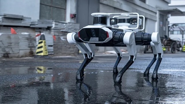 Robot chó 6 chân bảo tồn chùa gỗ cổ nhất, cao nhất thế giới- Ảnh 2. Robot chó 6 chân bảo tồn chùa gỗ cổ nhất, cao nhất thế giới- Ảnh 2.