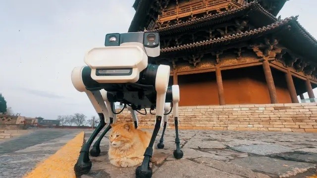 Robot chó 6 chân bảo tồn chùa gỗ cổ nhất, cao nhất thế giới- Ảnh 1. Robot chó 6 chân bảo tồn chùa gỗ cổ nhất, cao nhất thế giới- Ảnh 1.