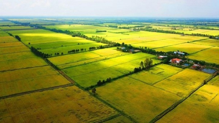Nhà đầu tư lùng mua đất nông nghiệp, chờ thời tăng giá- Ảnh 1. Nhà đầu tư lùng mua đất nông nghiệp, chờ thời tăng giá- Ảnh 1.