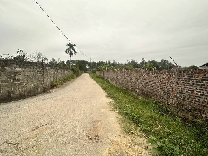 Nhà đầu tư lùng mua đất nông nghiệp, chờ thời tăng giá- Ảnh 2. Nhà đầu tư lùng mua đất nông nghiệp, chờ thời tăng giá- Ảnh 2.
