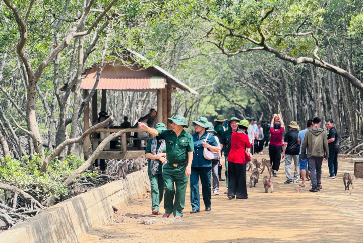 Tour lịch sử bùng nổ, du khách đến TP.HCM đông chưa từng có- Ảnh 2.