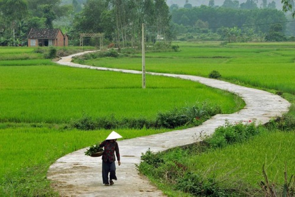 Tiếng Việt gọi tên nỗi lòng bằng một từ mà tiếng Anh chẳng thể đuổi kịp: Da diết như lời ru, sâu lắng hơn ký ức- Ảnh 1. Tiếng Việt gọi tên nỗi lòng bằng một từ mà tiếng Anh chẳng thể đuổi kịp: Da diết như lời ru, sâu lắng hơn ký ức- Ảnh 1.