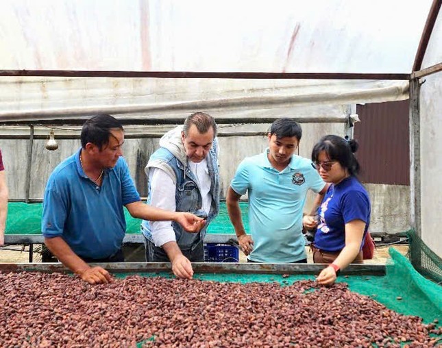 Ca cao khan hiếm giữa ‘cơn sốt’ giá kỷ lục- Ảnh 2. Ca cao khan hiếm giữa ‘cơn sốt’ giá kỷ lục- Ảnh 2.