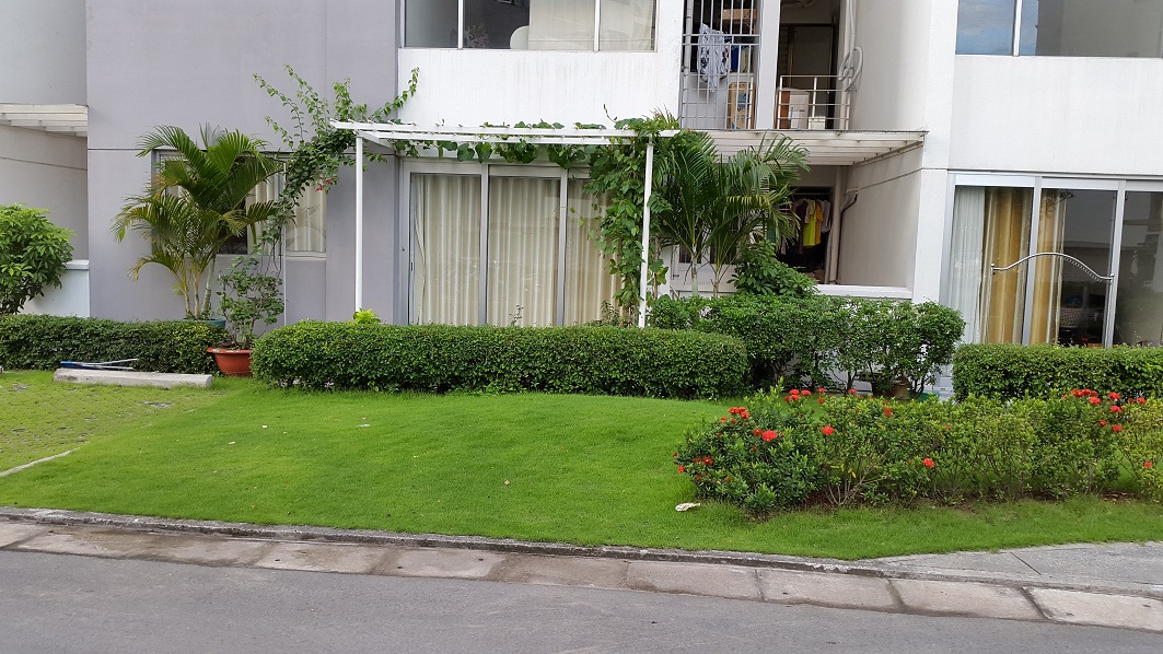Vỡ mộng mua nhà có sân ở tầng trệt chung cư: người trong cuộc than trời, hàng ngày đều sống trong khổ sở- Ảnh 2. Vỡ mộng mua nhà có sân ở tầng trệt chung cư: người trong cuộc than trời, hàng ngày đều sống trong khổ sở- Ảnh 2.
