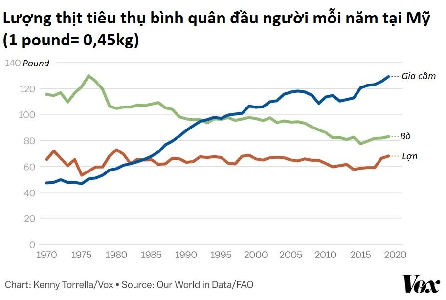 Mặt tối ngành chăn gà trị giá hơn 46 tỷ USD của Mỹ- Ảnh 3. Mặt tối ngành chăn gà trị giá hơn 46 tỷ USD của Mỹ- Ảnh 3.