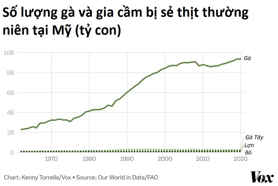 Mặt tối ngành chăn gà trị giá hơn 46 tỷ USD của Mỹ- Ảnh 4. Mặt tối ngành chăn gà trị giá hơn 46 tỷ USD của Mỹ- Ảnh 4.
