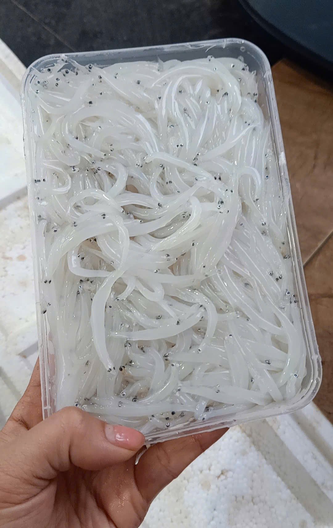 Loại đặc sản được ví như "ngọc trong nước" chỉ có ở sông Đà, nhiều người không ngại vượt hàng trăm cây số đến 2 tỉnh này để thưởng thức- Ảnh 1. Loại đặc sản được ví như "ngọc trong nước" chỉ có ở sông Đà, nhiều người không ngại vượt hàng trăm cây số đến 2 tỉnh này để thưởng thức- Ảnh 1.