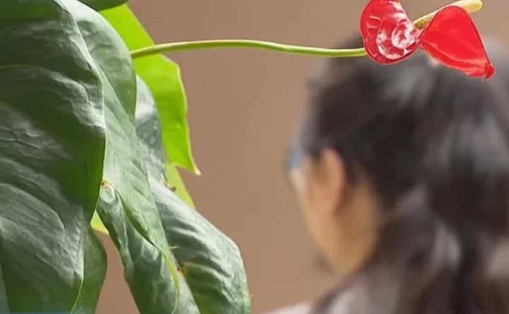 Bỏ tiền tỷ vào app tài chính lừa đảo, nhà đầu tư cay đắng được trả bằng thịt bò- Ảnh 2. Bỏ tiền tỷ vào app tài chính lừa đảo, nhà đầu tư cay đắng được trả bằng thịt bò- Ảnh 2.