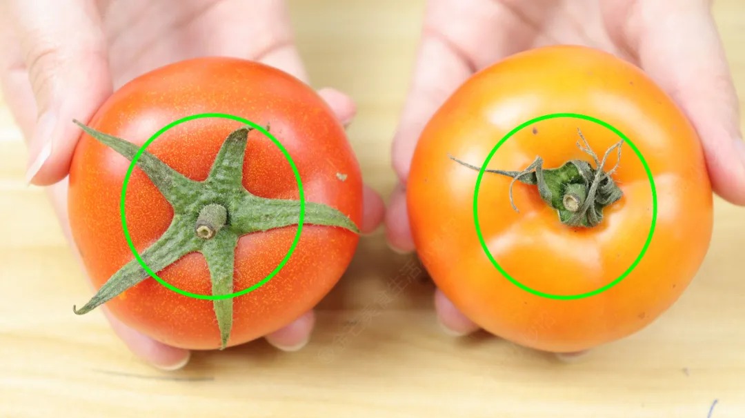 4 loại cà chua độc hại: Loại dễ gây ung thư, loại 4 loại cà chua độc hại: Loại dễ gây ung thư, loại