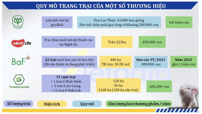 Quy mô khổng lồ của công ty C.P Việt Nam: 21 nhà máy trải khắp cả nước, thu về gần 100.000 tỷ đồng mỗi năm từ bán cám, thịt heo, gà… từng có năm lãi gần 20.000 tỷ- Ảnh 4.