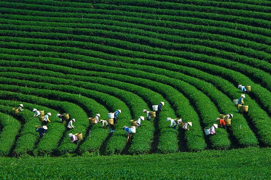Loại đặc sản được ví như "ngọc trong nước" chỉ có ở sông Đà, nhiều người không ngại vượt hàng trăm cây số đến 2 tỉnh này để thưởng thức- Ảnh 20. Loại đặc sản được ví như "ngọc trong nước" chỉ có ở sông Đà, nhiều người không ngại vượt hàng trăm cây số đến 2 tỉnh này để thưởng thức- Ảnh 20.