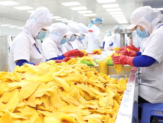 Vật vã trong ‘nắng hạn’ lâu năm, doanh nghiệp Việt vừa gặp được ‘mưa rào'- Ảnh 2. Vật vã trong ‘nắng hạn’ lâu năm, doanh nghiệp Việt vừa gặp được ‘mưa rào'- Ảnh 2.