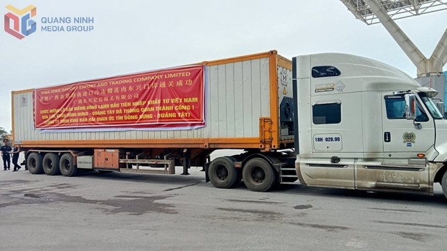 Sau 2 ngày thương thảo, sầu riêng đông lạnh Việt Nam thẳng tiến Trung Quốc- Ảnh 1. Sau 2 ngày thương thảo, sầu riêng đông lạnh Việt Nam thẳng tiến Trung Quốc- Ảnh 1.