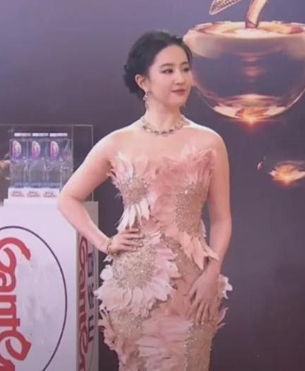Lưu Diệc Phi từng gầy đến mức này sao?- Ảnh 12. Lưu Diệc Phi từng gầy đến mức này sao?- Ảnh 12.
