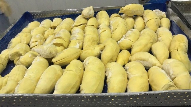 Sau 2 ngày thương thảo, sầu riêng đông lạnh Việt Nam thẳng tiến Trung Quốc- Ảnh 2. Sau 2 ngày thương thảo, sầu riêng đông lạnh Việt Nam thẳng tiến Trung Quốc- Ảnh 2.