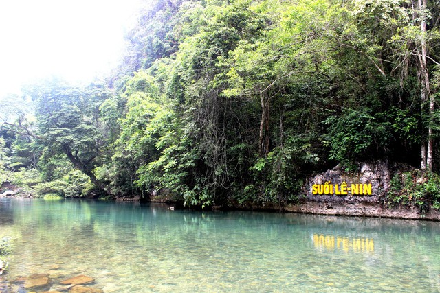 Con suối nước xanh như ngọc, nhìn thấy tận đáy khiến nhiều người trầm trồ: Thì ra màu nước là có lý do- Ảnh 3.